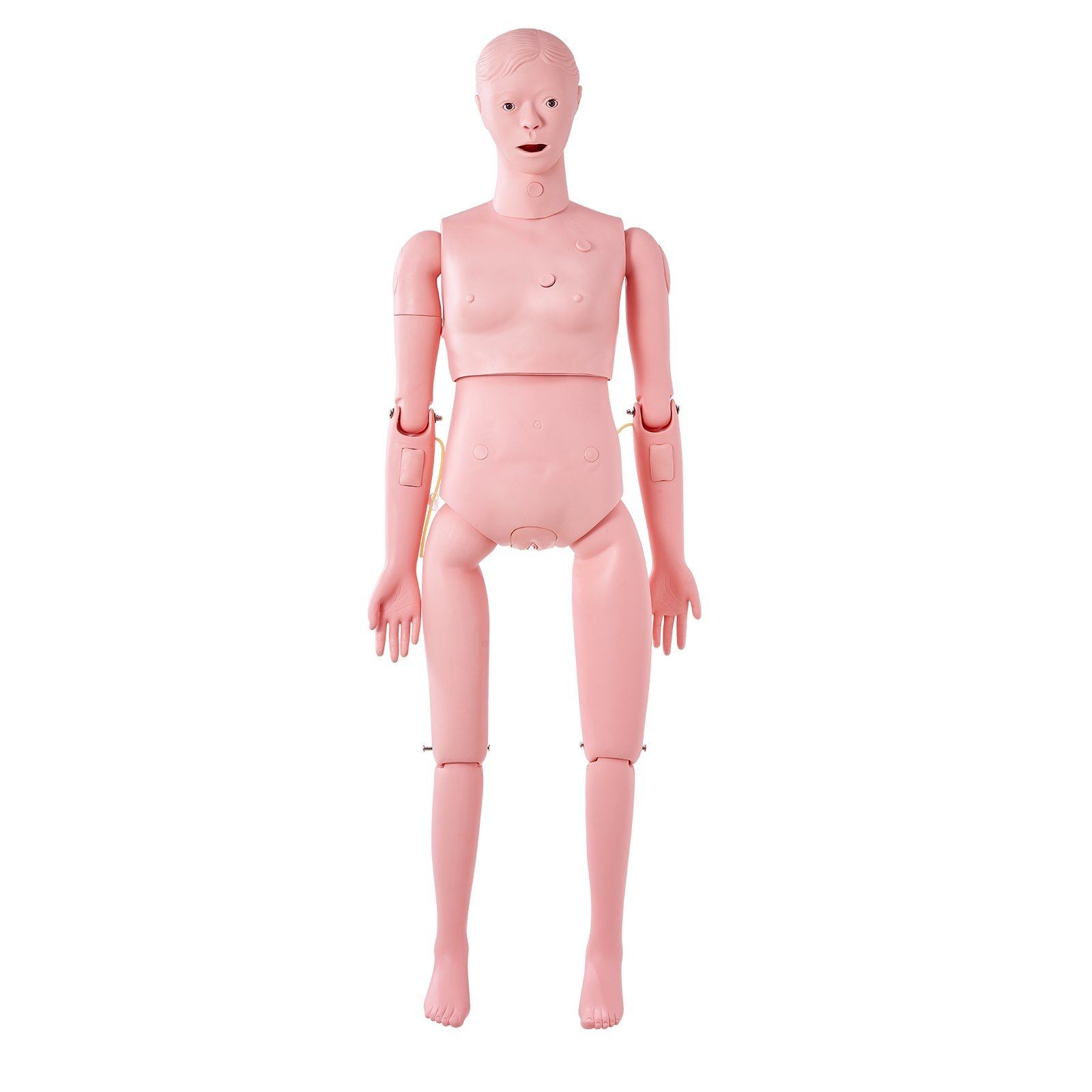 Customizable Female Nursing Manikin for Varied Clinical Scenario Simulations