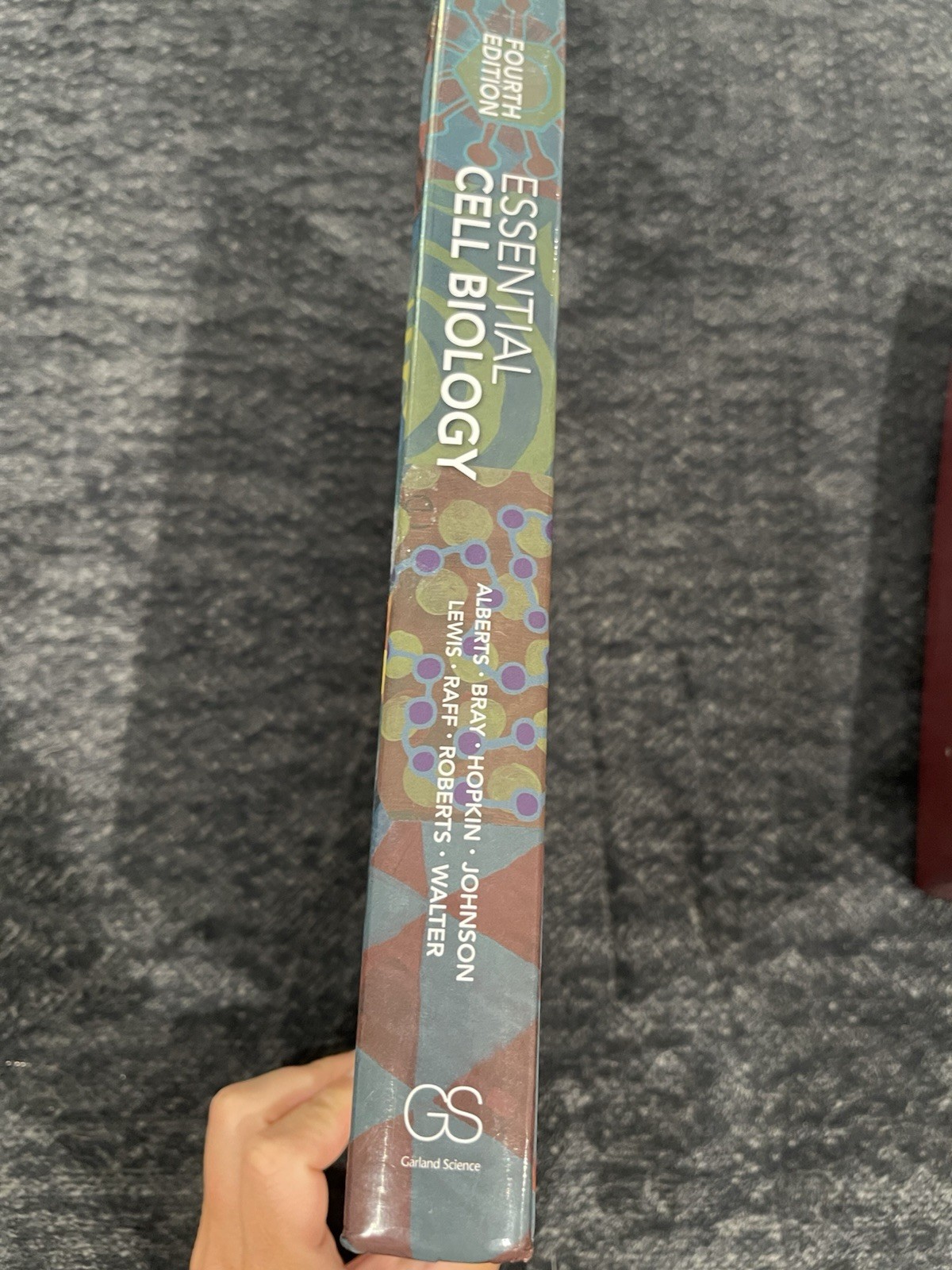 Essential Cell Biology 4th Edition Hardcover Albert’s Bray Hopkin