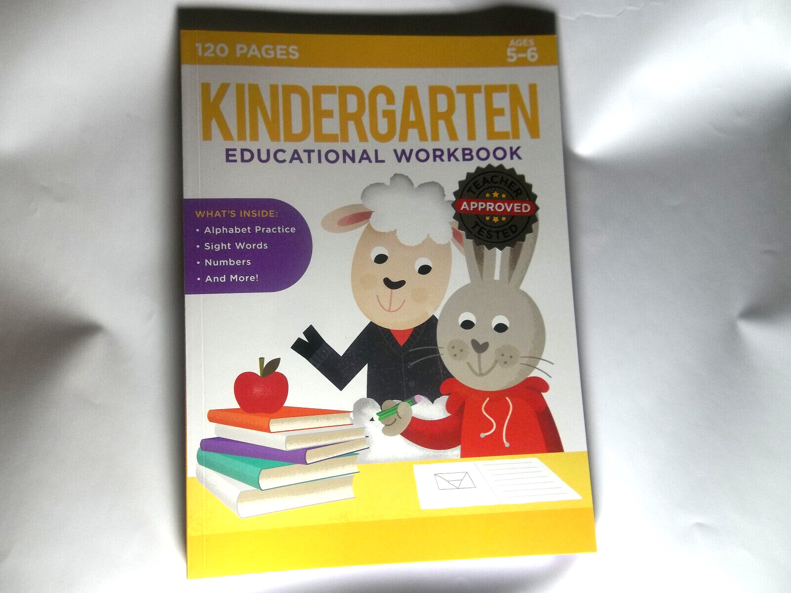 Kindergarten Educational Workbook Ages 5-6 Math Science 120 Pages – New
