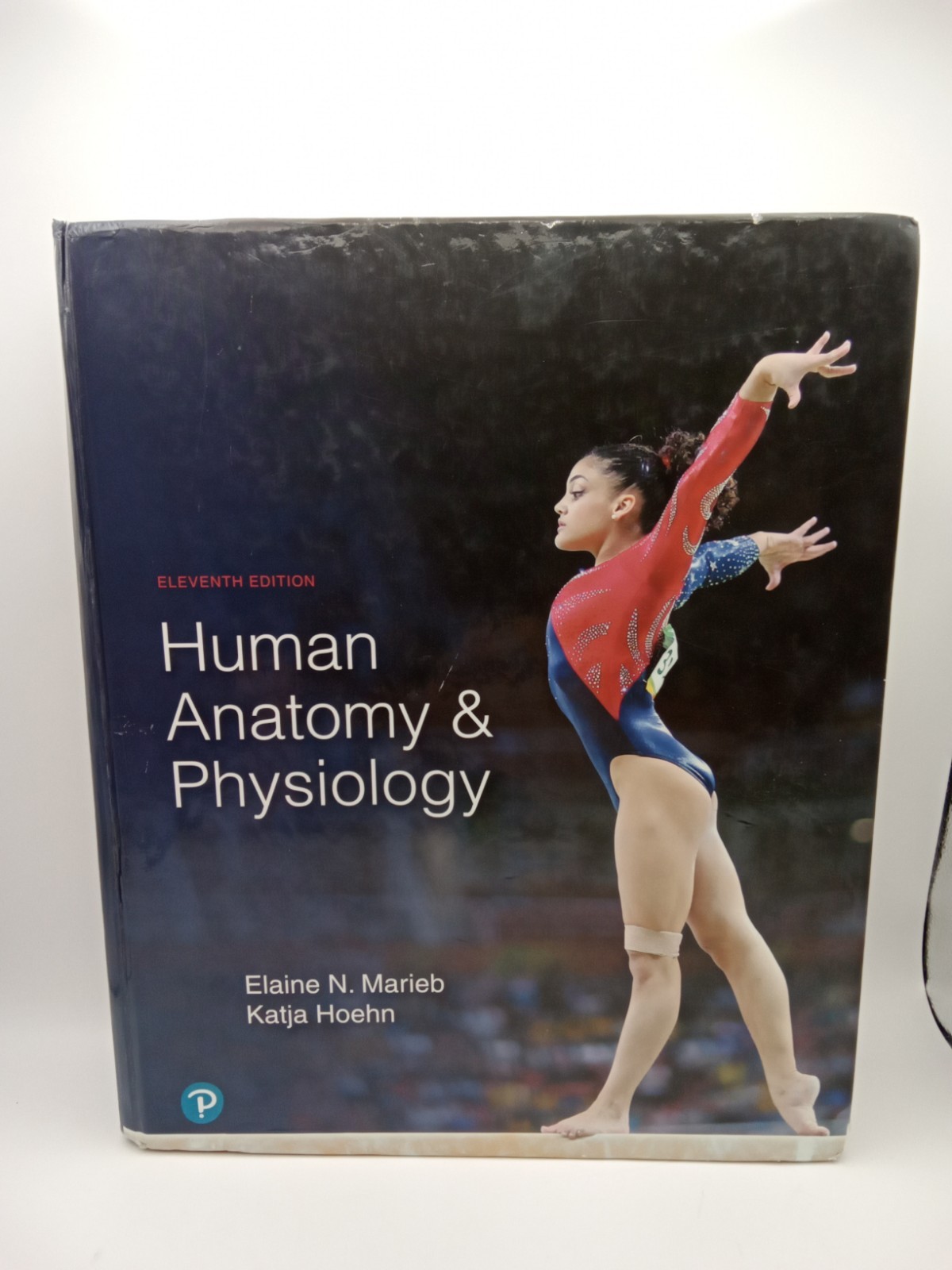 Human Anatomy and Physiology by Elaine Marieb and Katja Hoehn 11th Ed SHIPS FREE