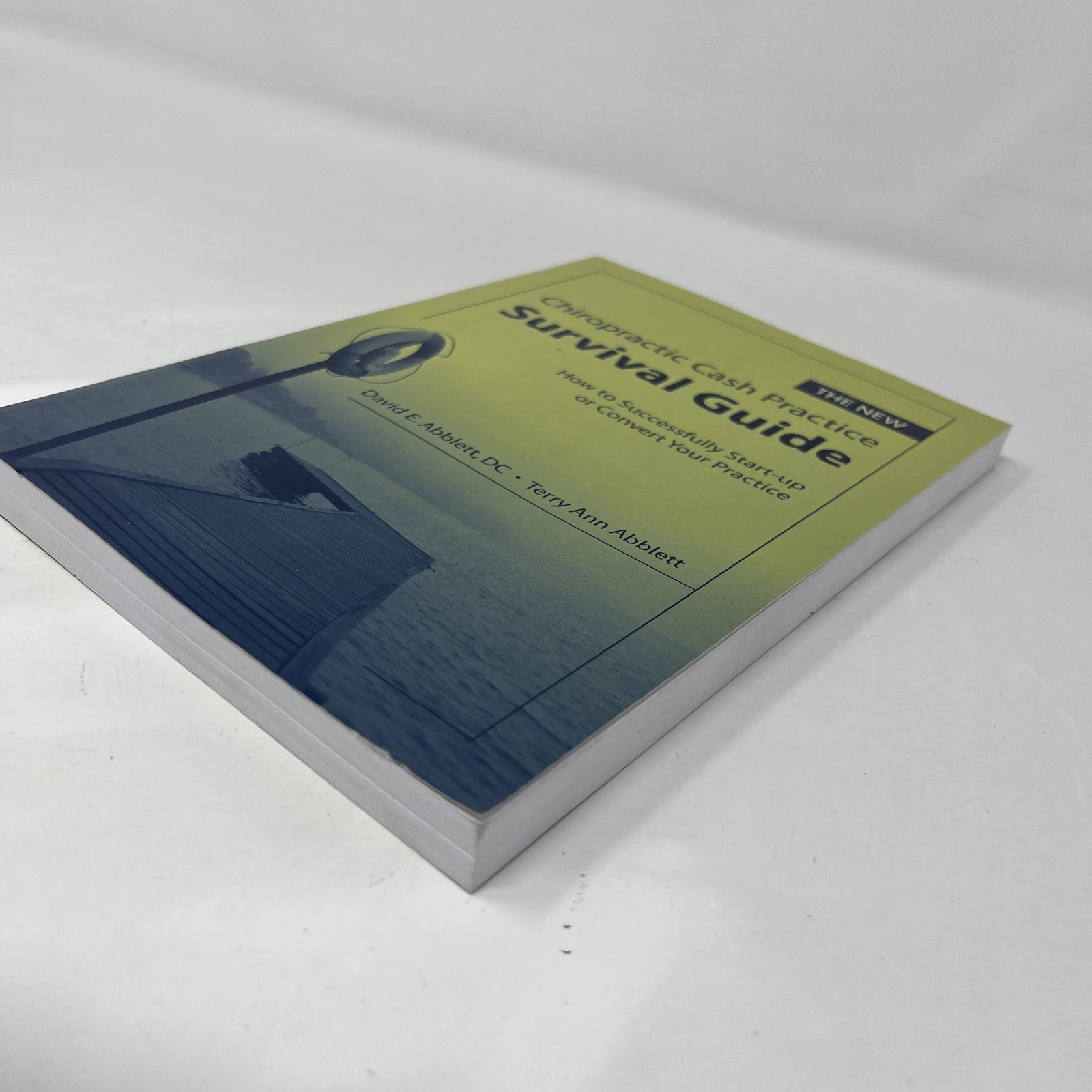 The New Chiropractic Cash Practice Survival Guide David E. Abblett – Paperback