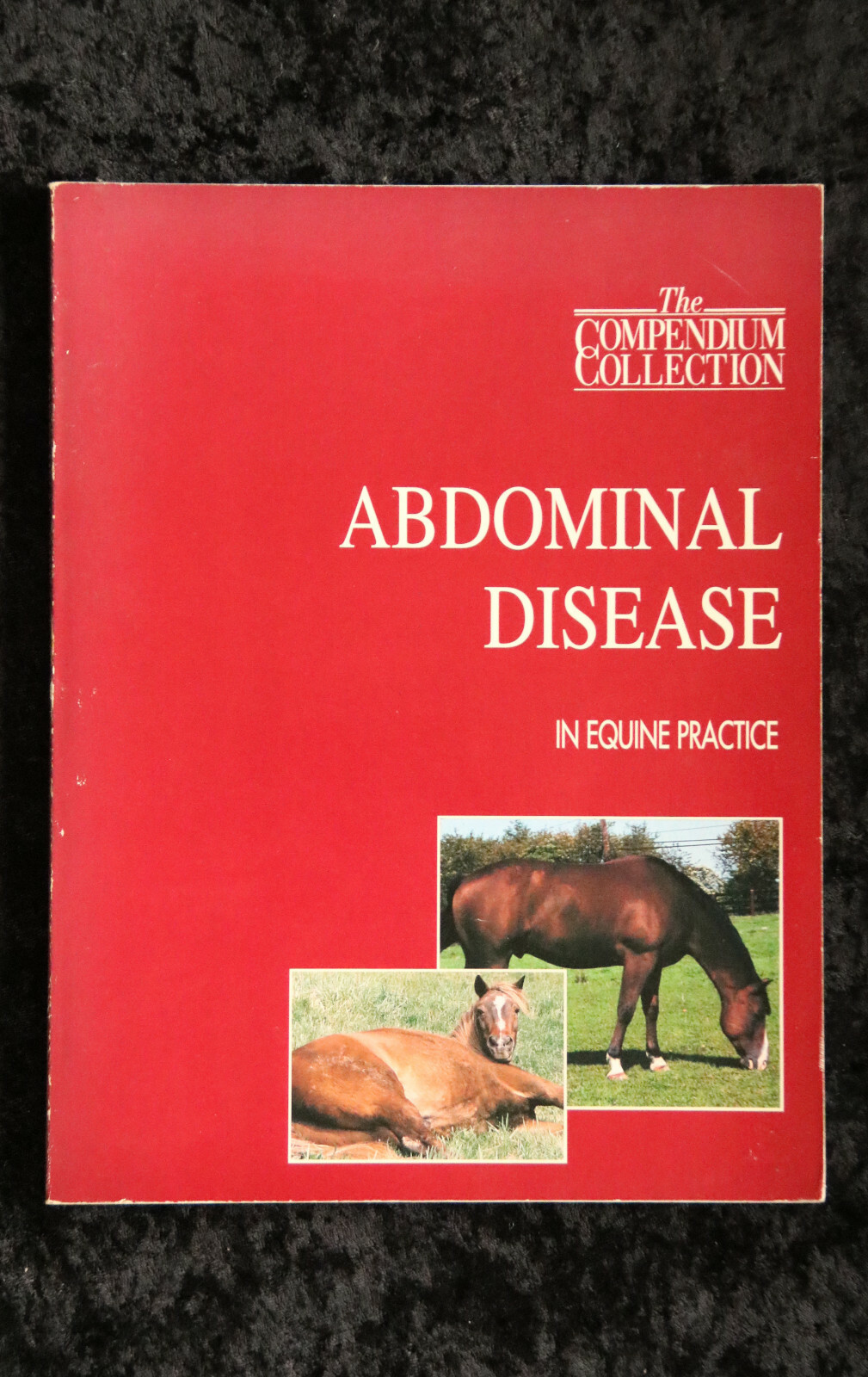 The Compendium Collection Abdominal Disease in Equine Practice