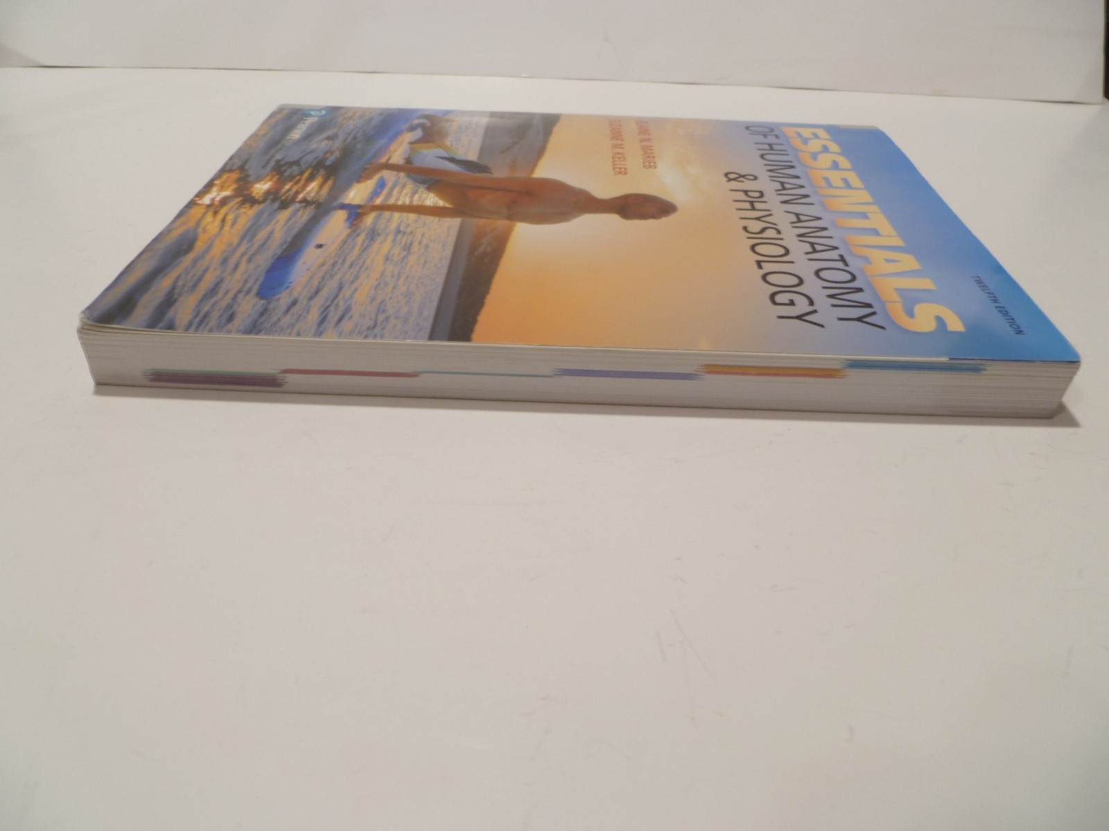 Essentials of Human Anatomy and Physiology by Elaine Marieb and Suzanne…