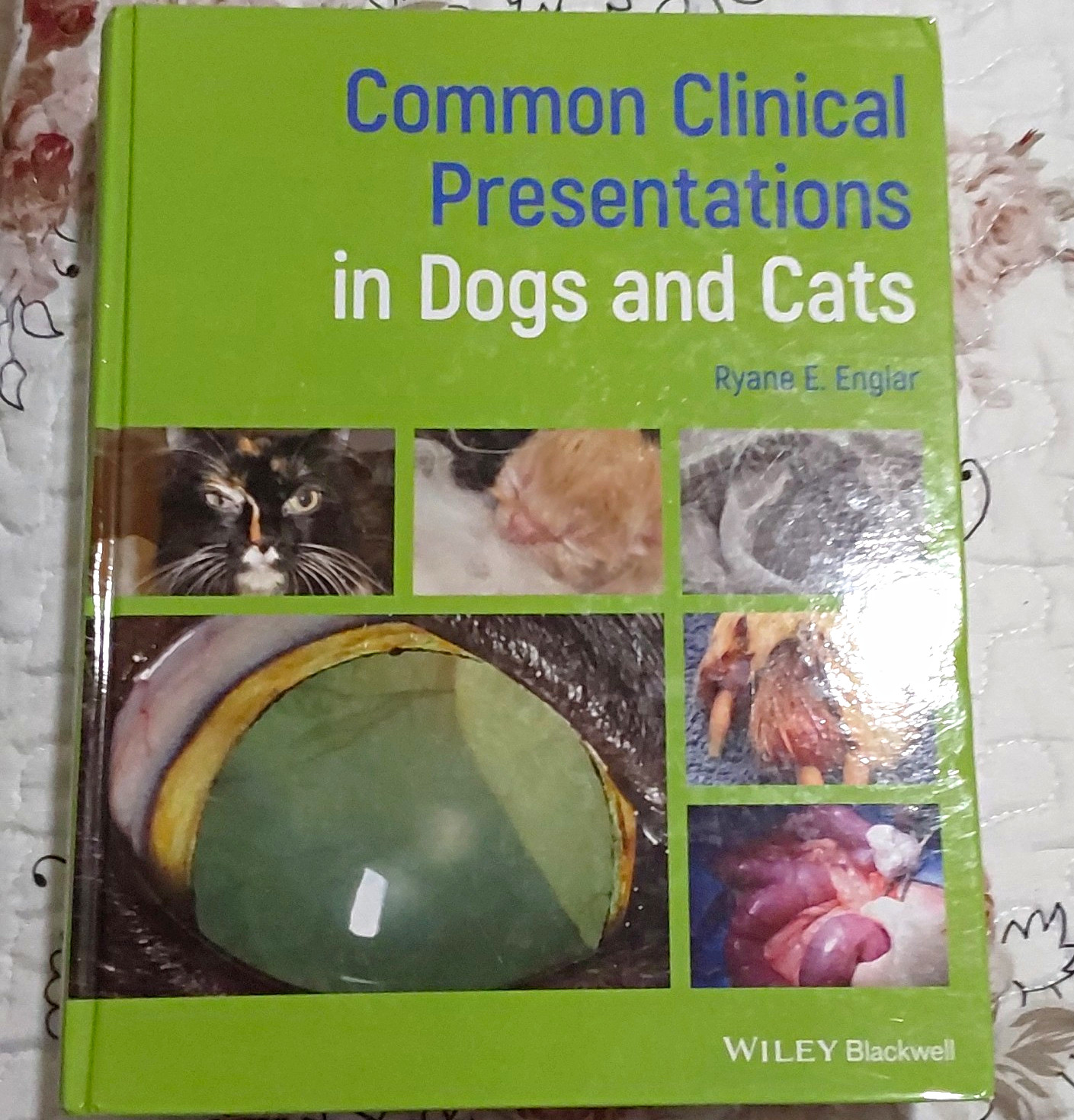 Wiley Blackwell Common Clinical Presentations Dogs & Cats Englar Hardcover 2011