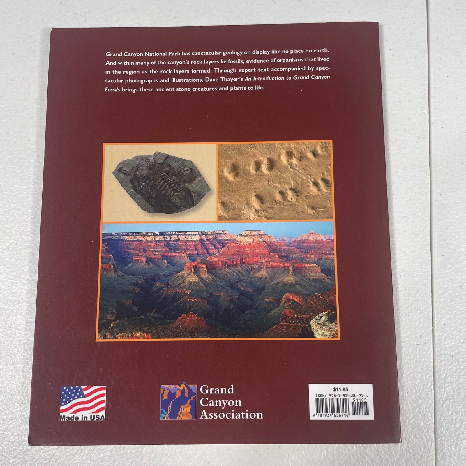 GRAND CANYON FOSSILS Reference Book Dave Thayer 64 Pages 2009