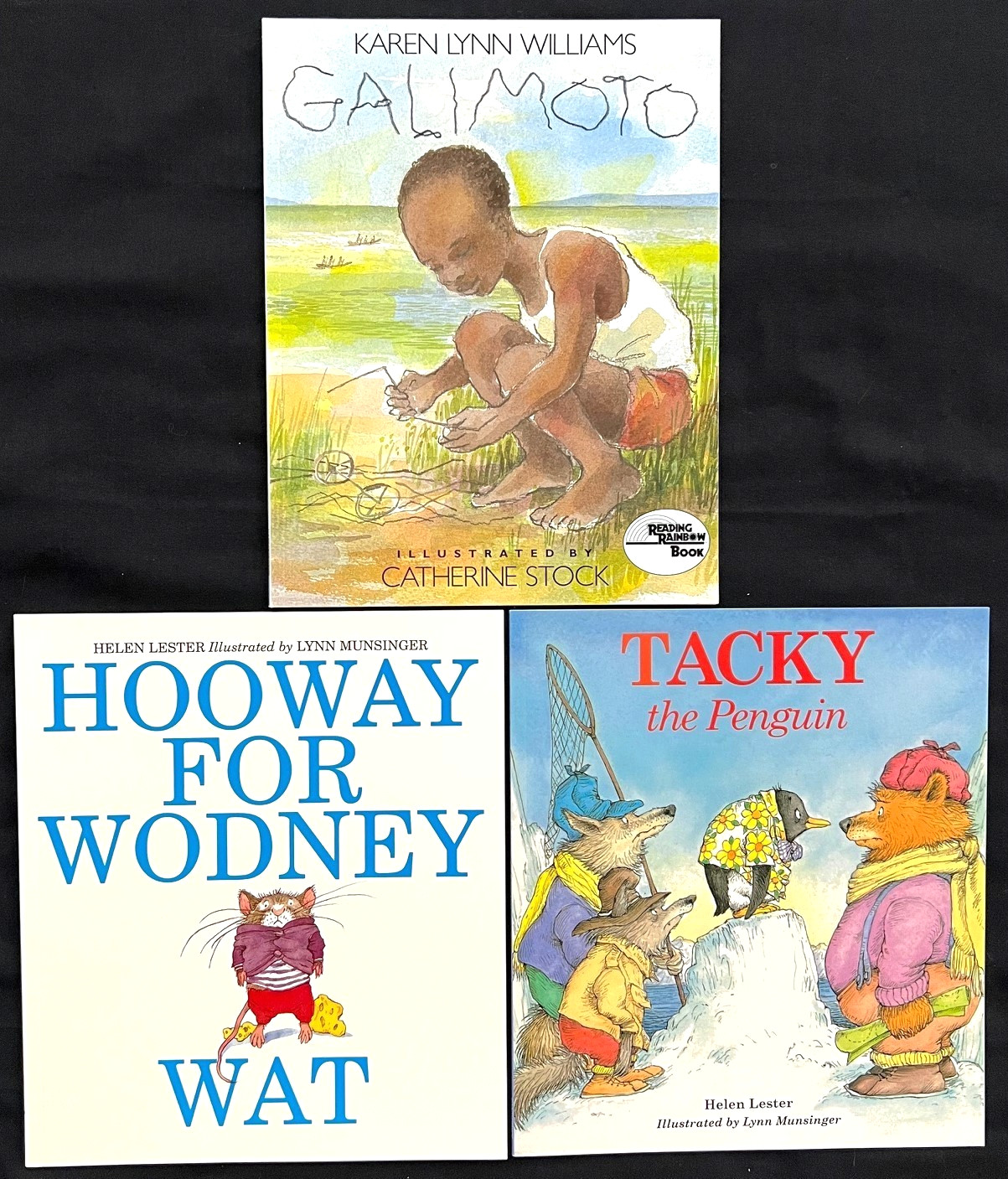 2nd Grade – FOUNTAS & PINNELL – Interactive Read-Aloud (11 books) (Sets 14-19)