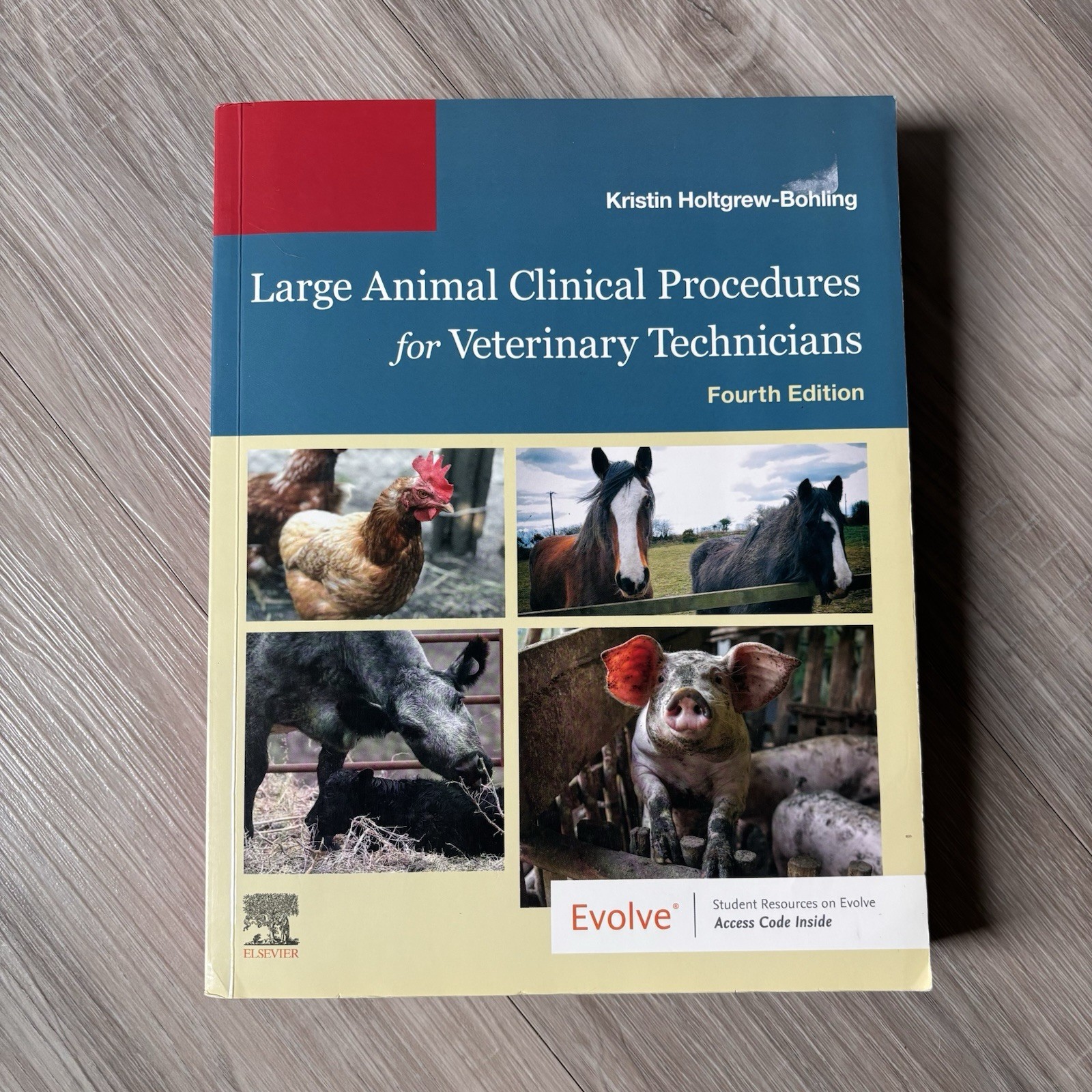 Elsevier Large Animal Clinical Procedures for Vet Techs 4th PB 2019 Holtgrew