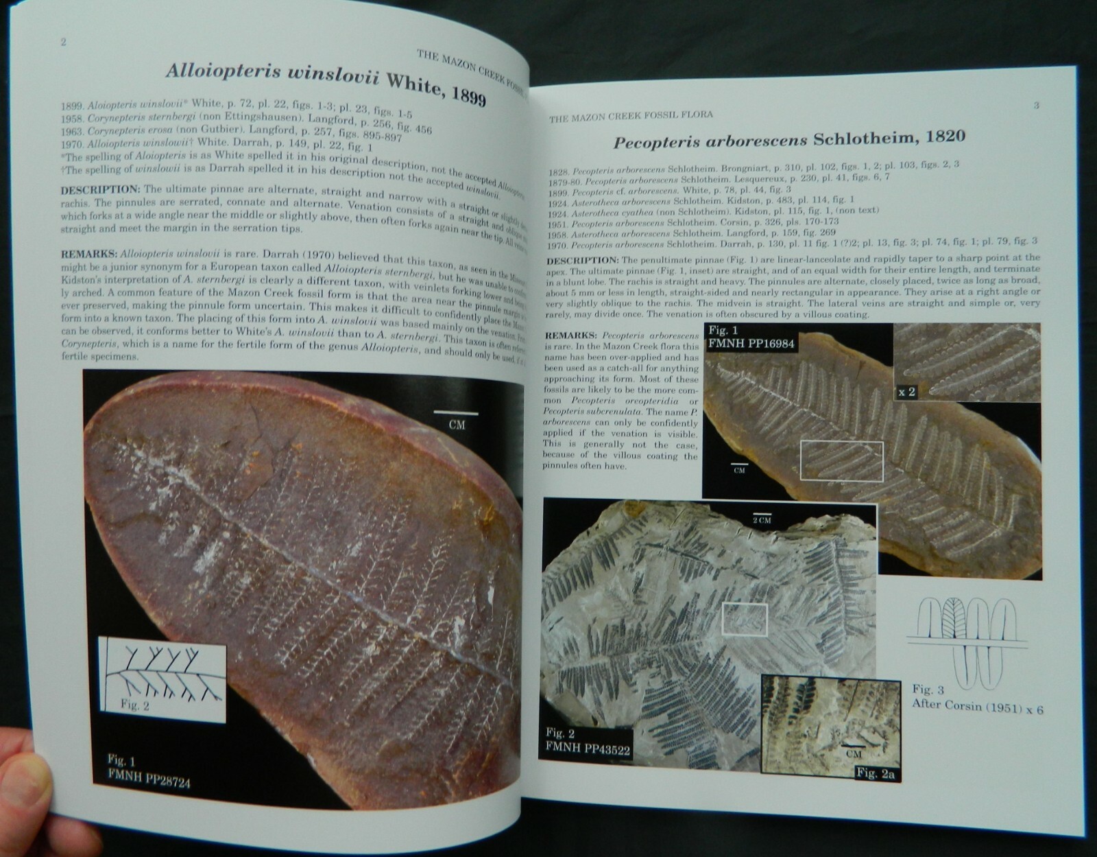 The Mazon Creek Fossil Flora, ESCONI hard cover book, fossil plants, 2006 Wittry