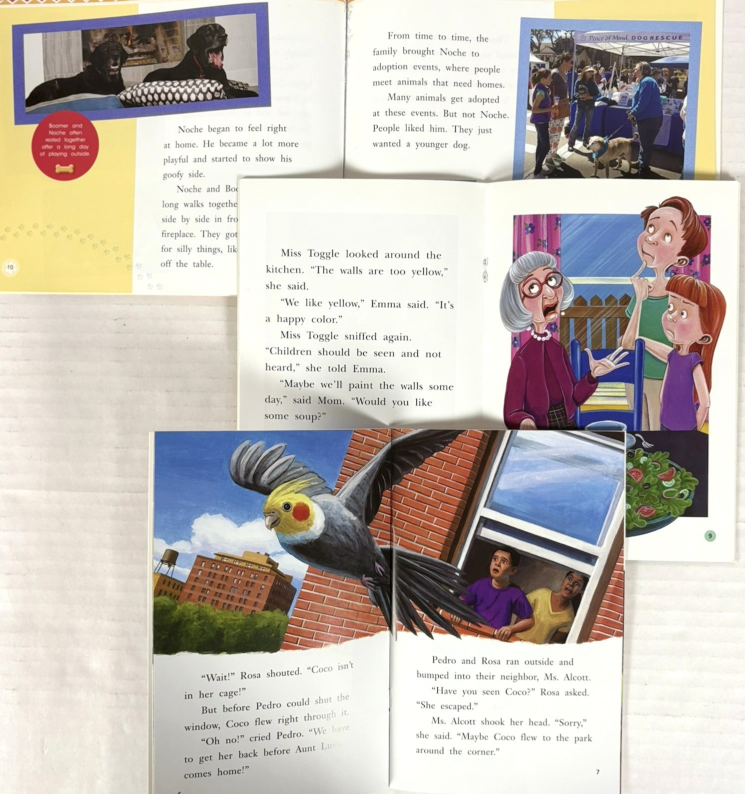 FOUNTAS & PINNELL 3rd Grade Level I-S Guided Readers Complete 200-Book Library