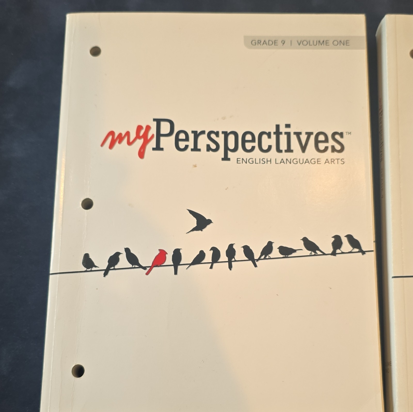 Pearson myPerspectives English Language Arts Grade 9 Vol 1 & 2 Loose-Leaf 2017