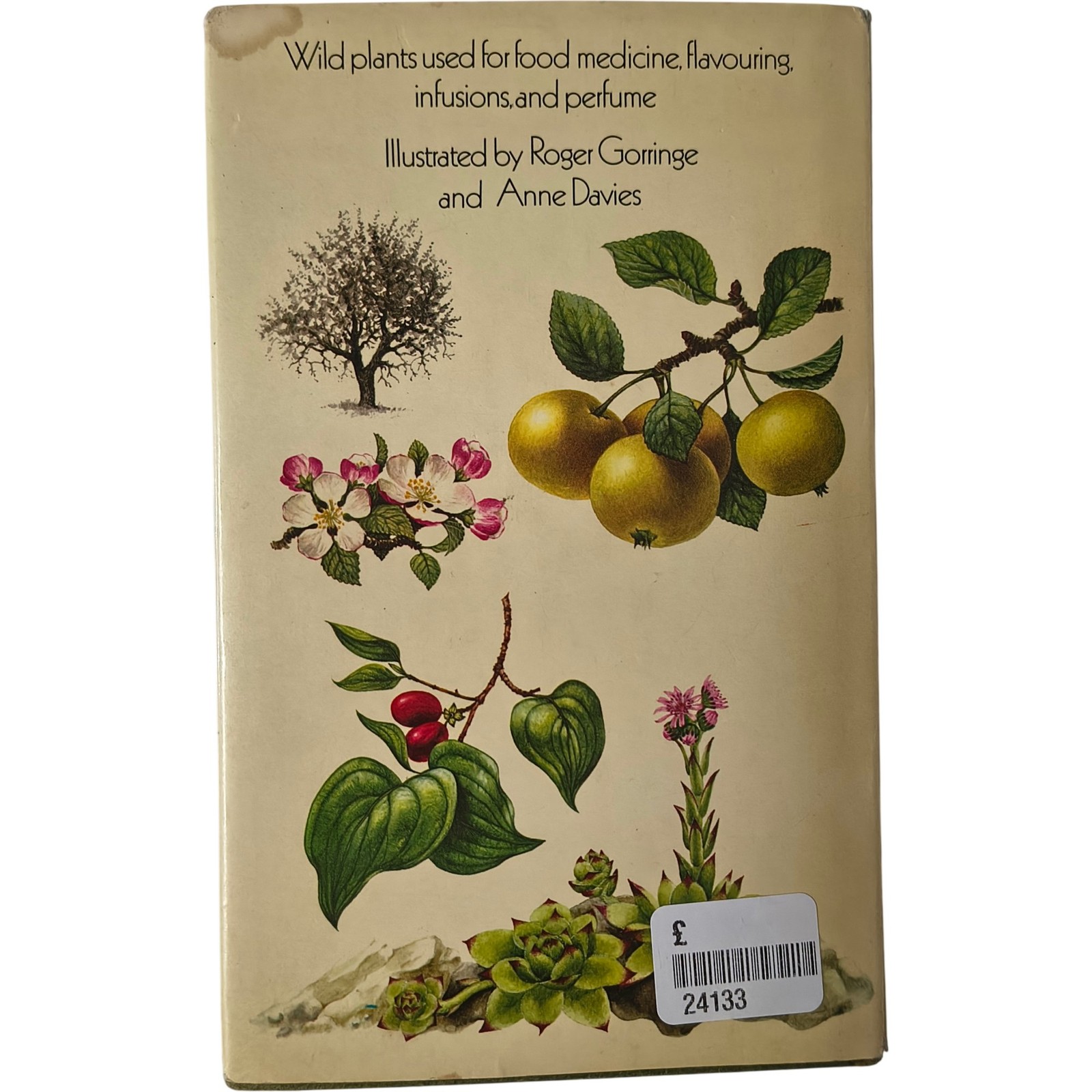 The Hamlyn Guide to Edible Medicinal Plants by Edmund Launert Hardcover
