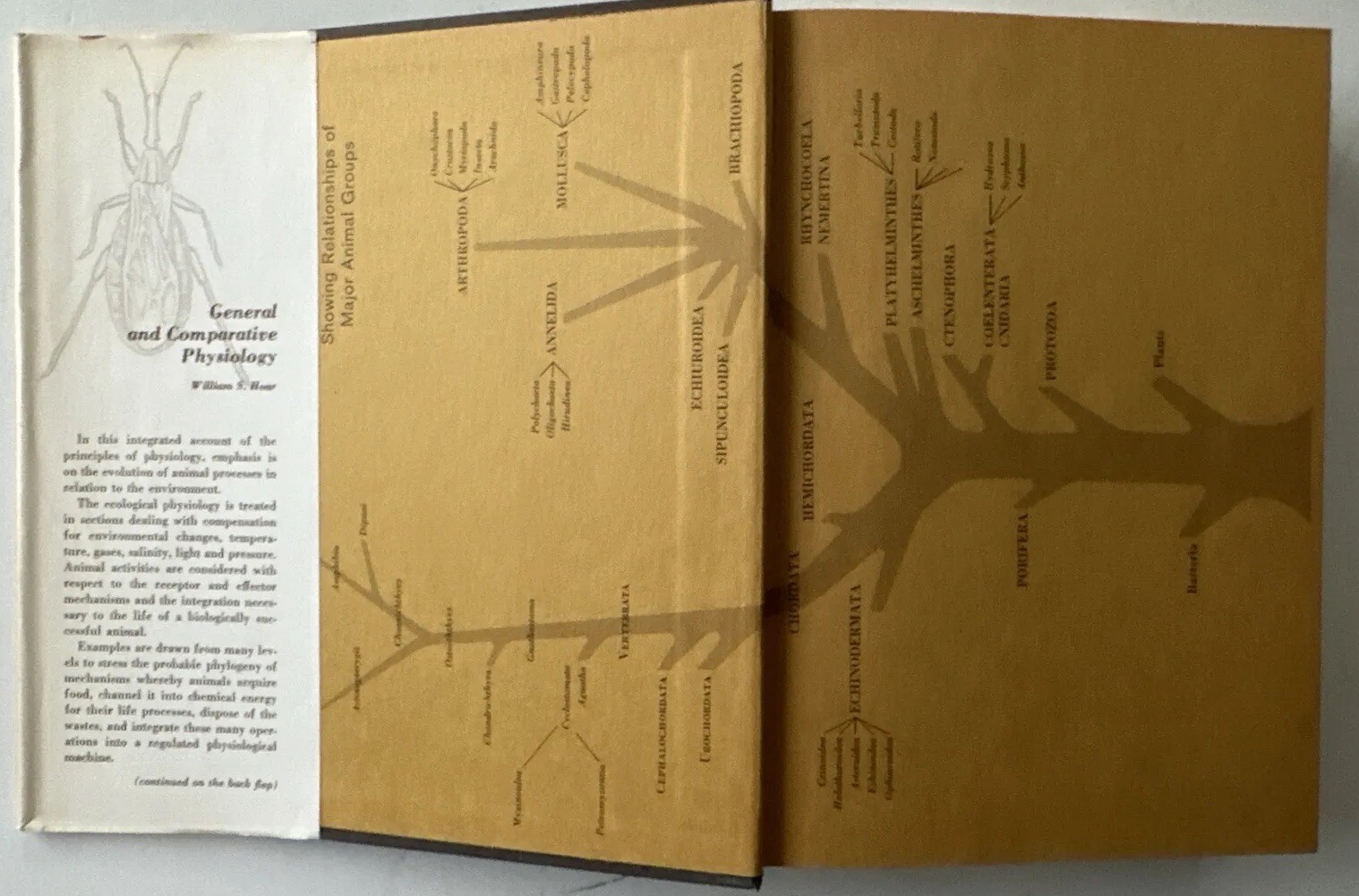 Rare! General and Comparative Physiology by William S. Hoar 1966 HC “Very Good”