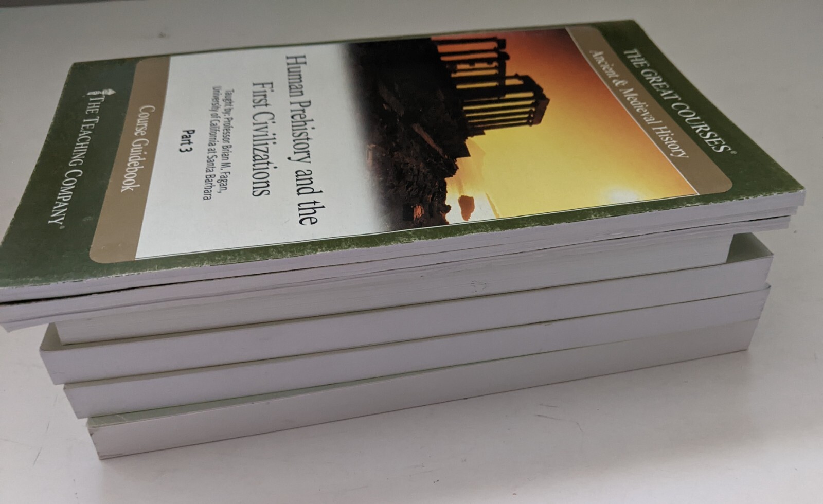 Great Courses Lot Alexander the Great Ancient & Medieval History Guidebook Fagan