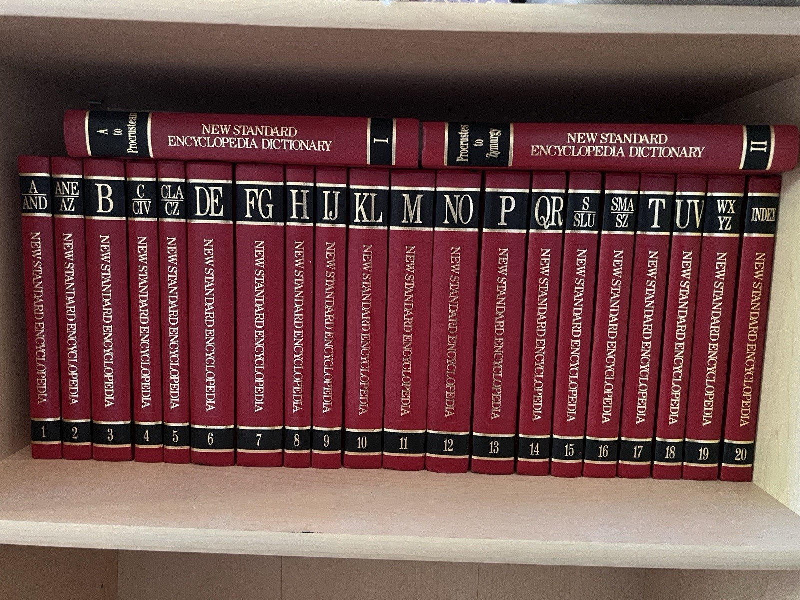New Standard Encyclopedia Set Vintage 1990’s