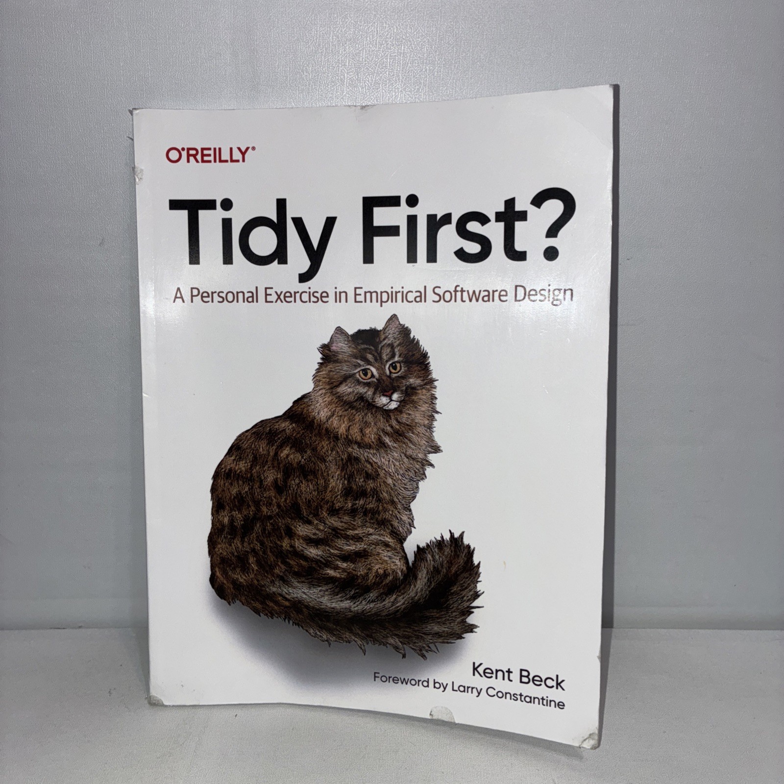 Tidy First?: A Personal Exercise in Empirical Software Design