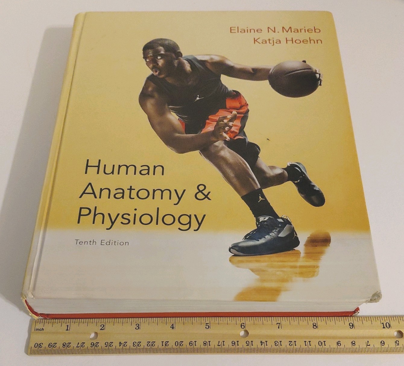 Human Anatomy and Physiology by Elaine N. Marieb and Katja Hoehn (Hardcover)