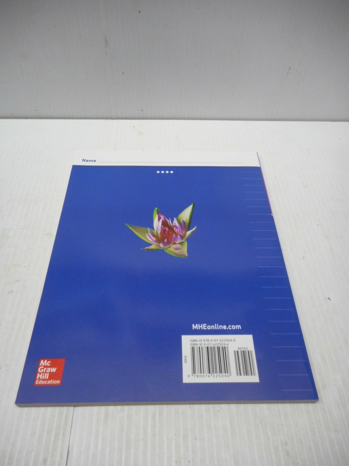 Wright Group/McGraw Hill Everyday Mathematics Skills Link Grade 4 Paperback