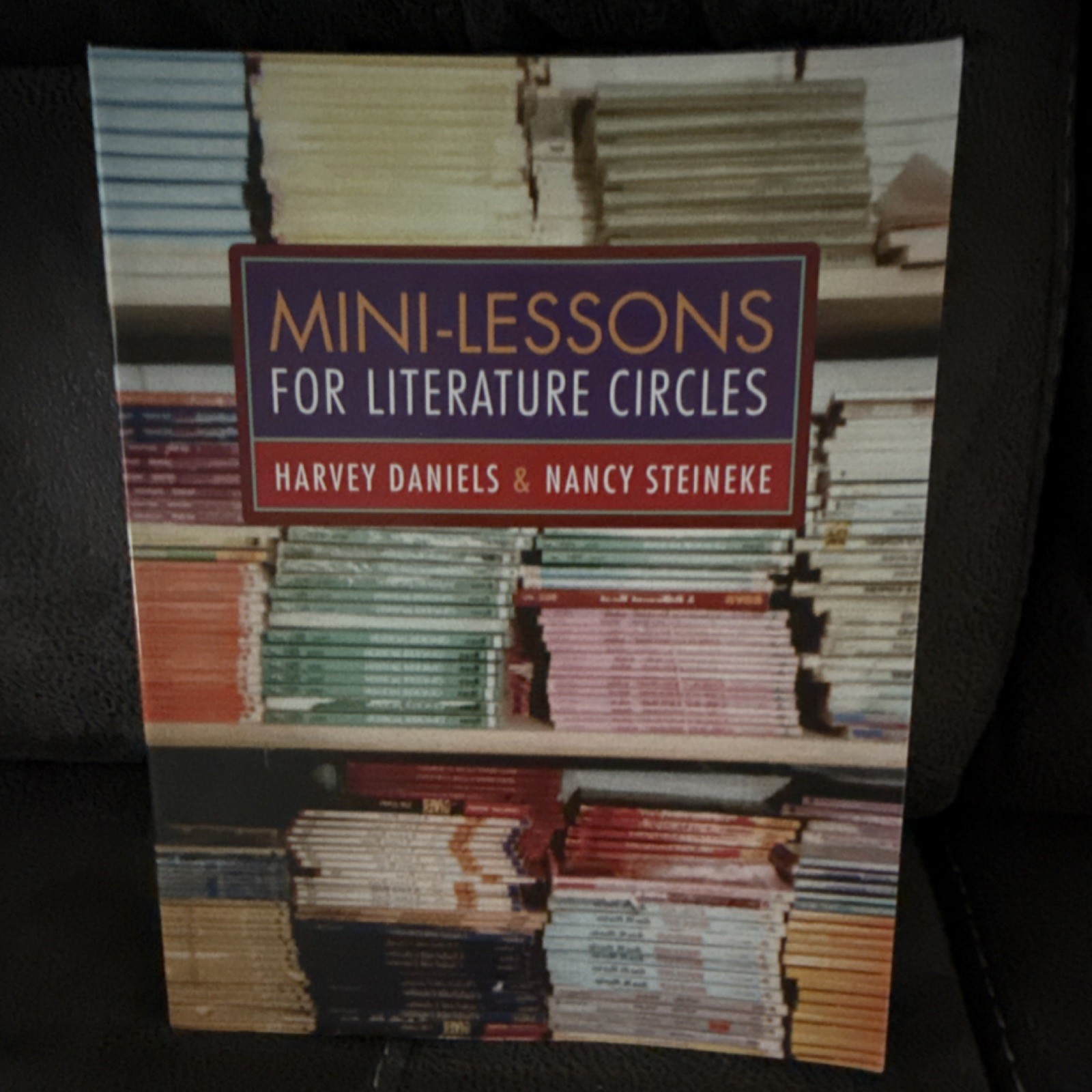 Mini-Lessons for Literature Circles Daniels Steineke PB 2004 Heinemann