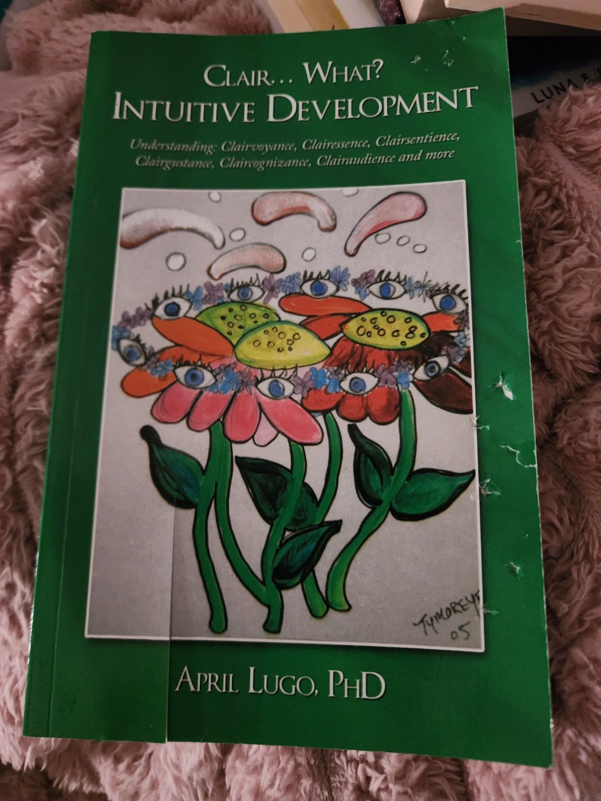 Clair What? Intuitive Development : Understanding by Lugo (2010, Trade…