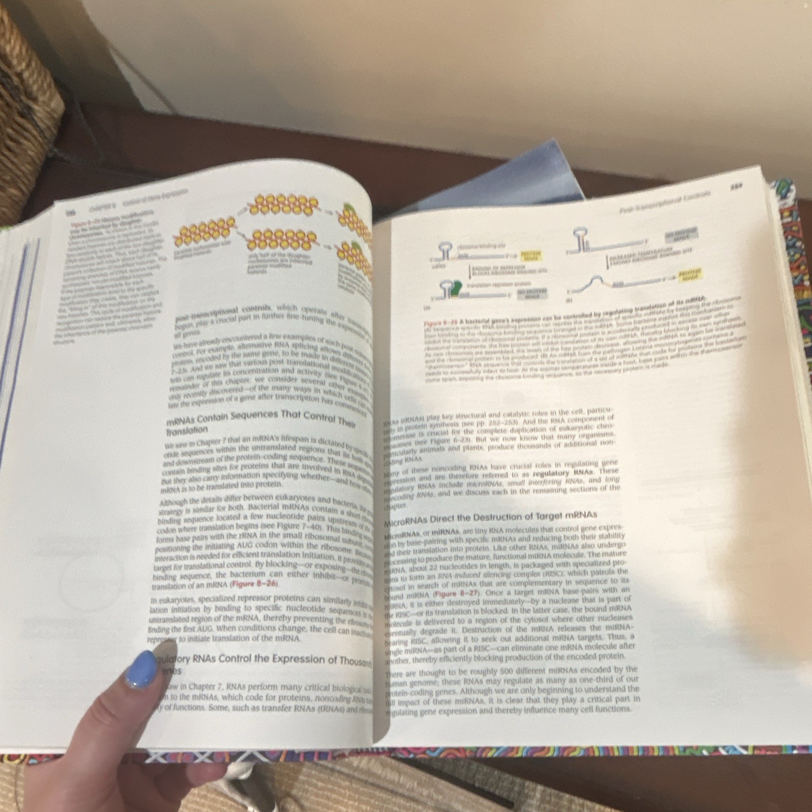 Essential Cell Biology 5th Ed Paperback 2014 Alberts Johnson Morgan