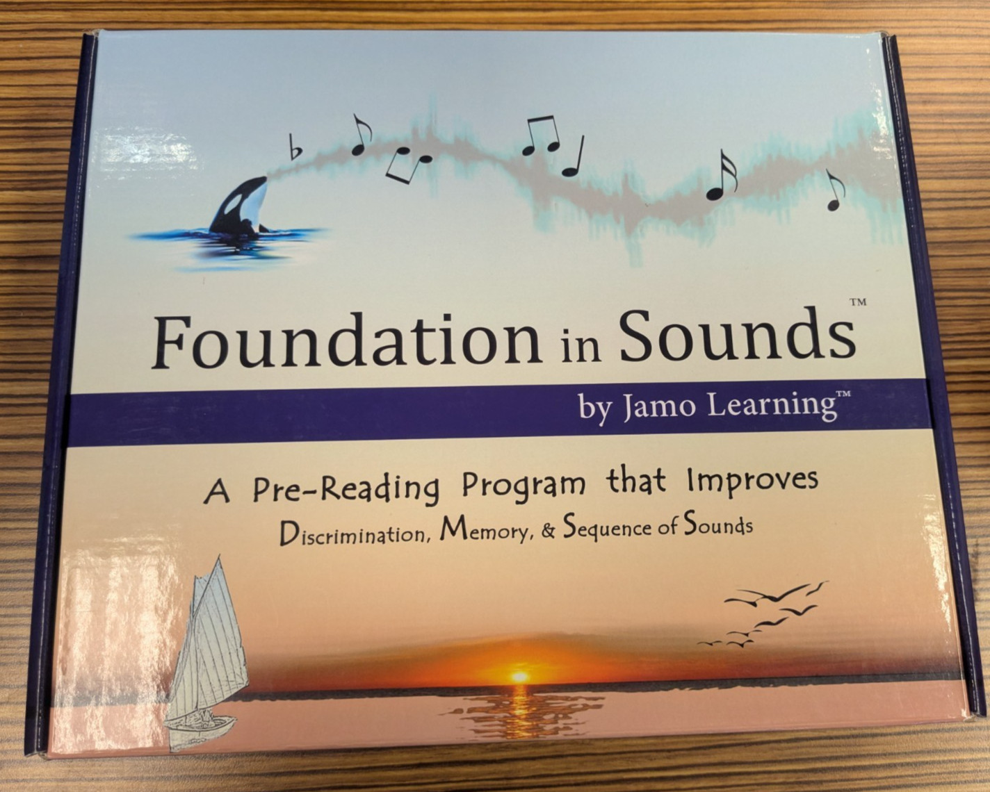LIKE NEW Foundation in Sounds Curriculum Kit