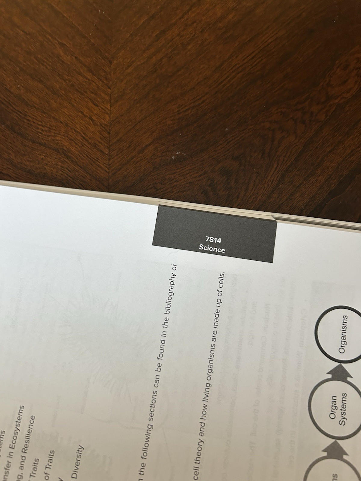 Praxis 7811 Test Prep Book For Teacher Certification New!