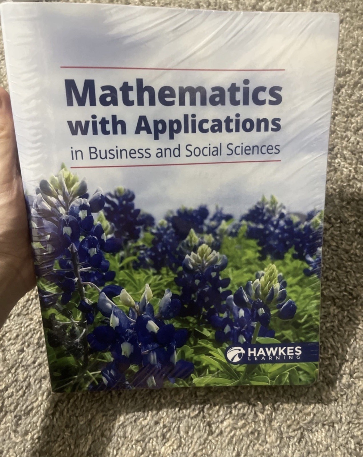 Mathematics with Applications in Business and Social Science Hawkes Learning.