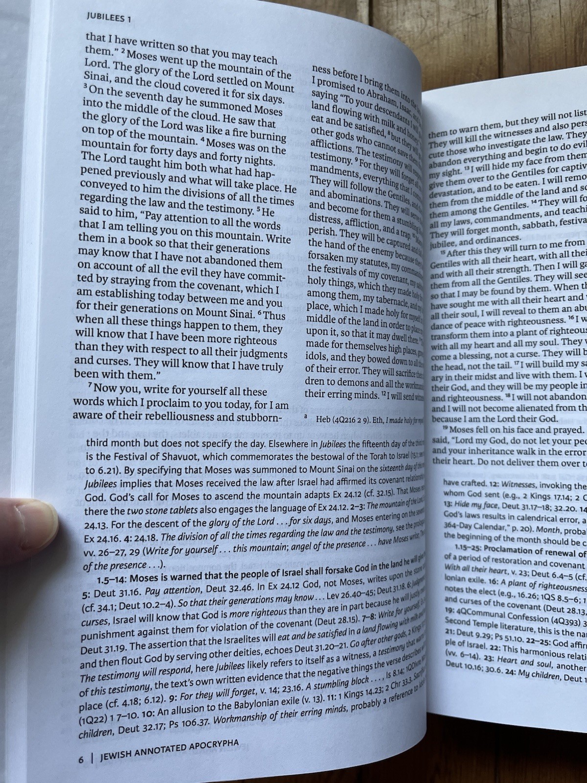The Jewish Annotated Apocrypha by Jonathan Klawans NRSV 2020
