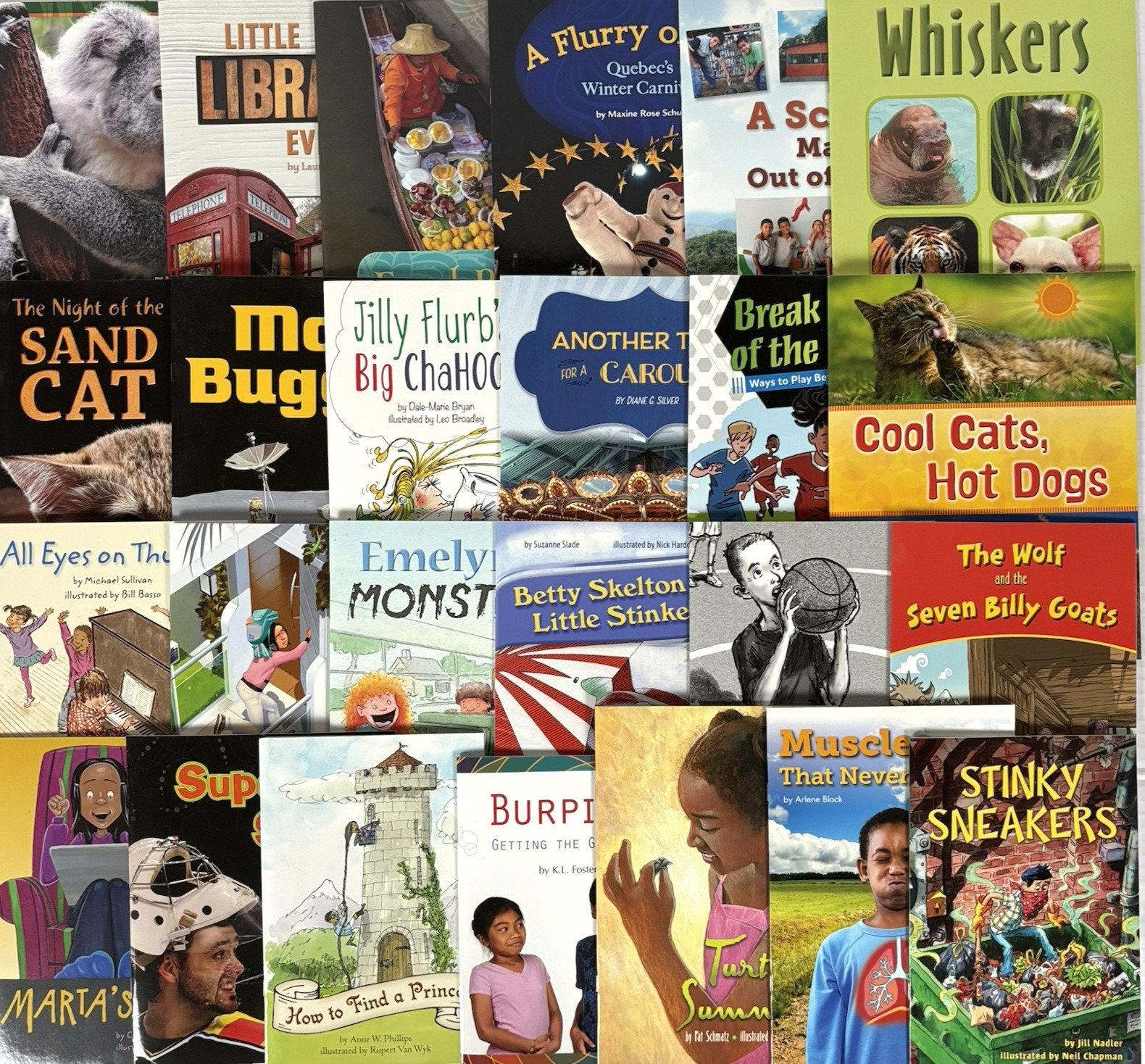FOUNTAS & PINNELL 3rd Grade Level I-S Guided Readers Complete 200-Book Library