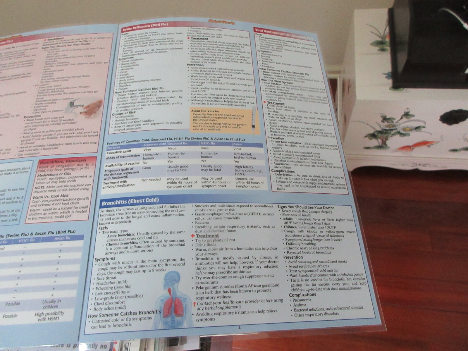 Quick Study Health , Bar Charts , Inc. , First Aid Cold & Flu , 2010