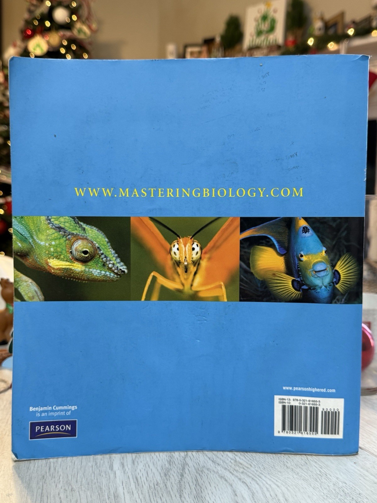 Biology: A Guide to the Natural World by David Krogh