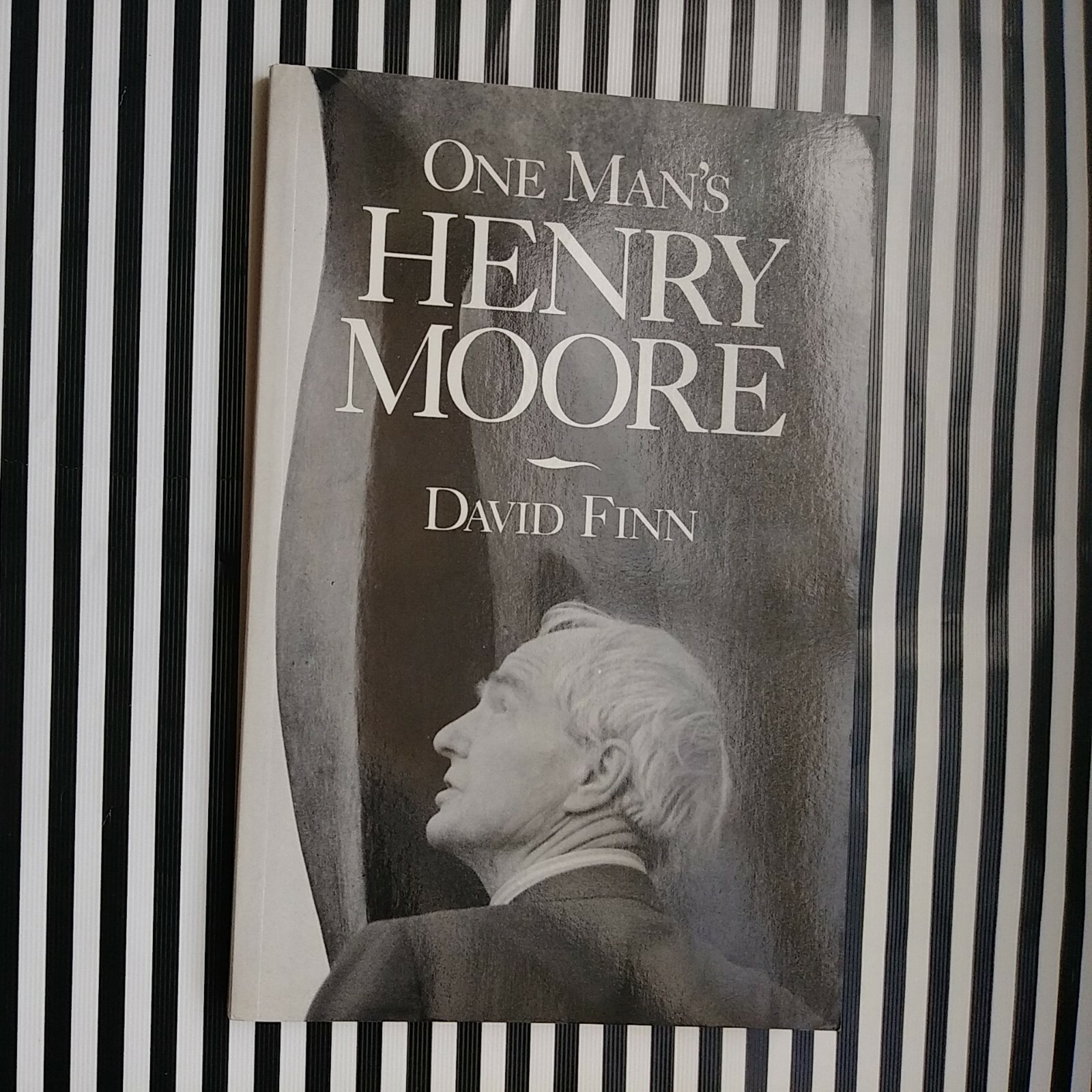 One Man’s Henry Moore | David Finn | Paperback | Art Bestseller