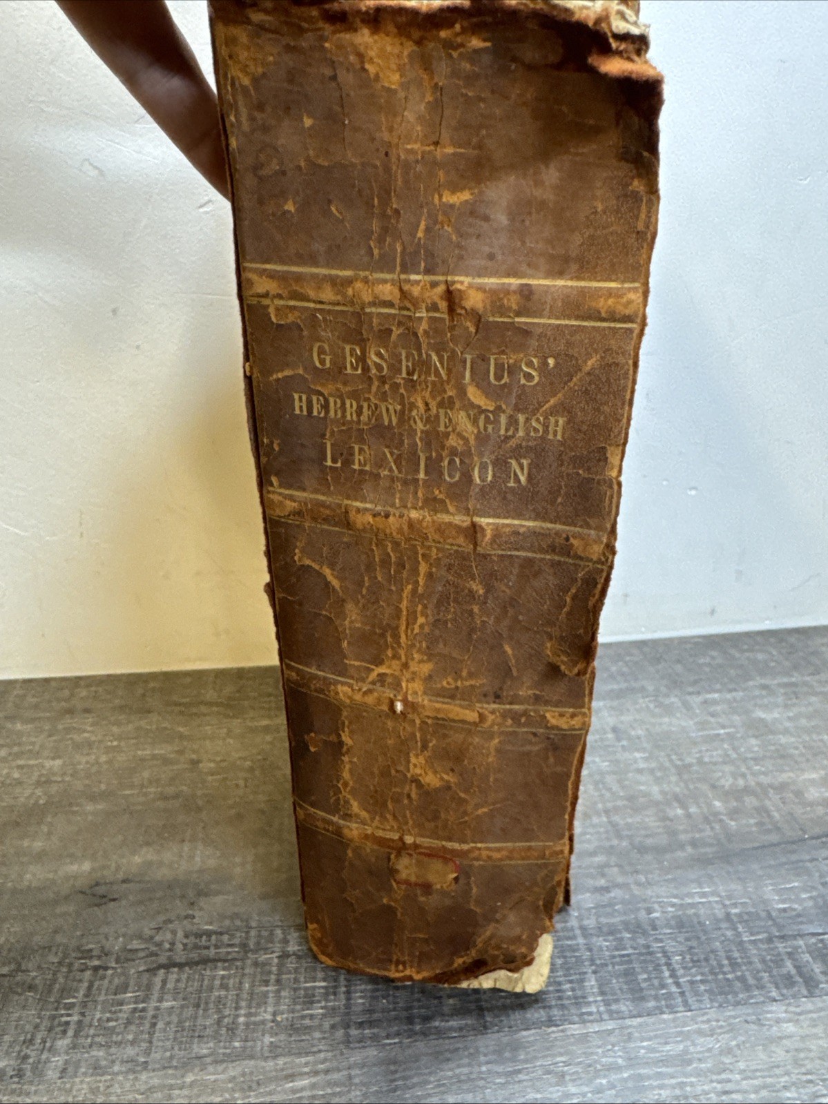 Rare Hebrew & English Lexicon of Old Testament Biblical Chaldee Edward Robinson