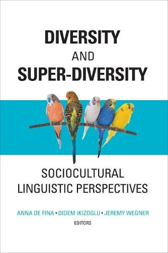 Jeremy Wegner Diversity and Super-Diversity (Hardback) (UK IMPORT)