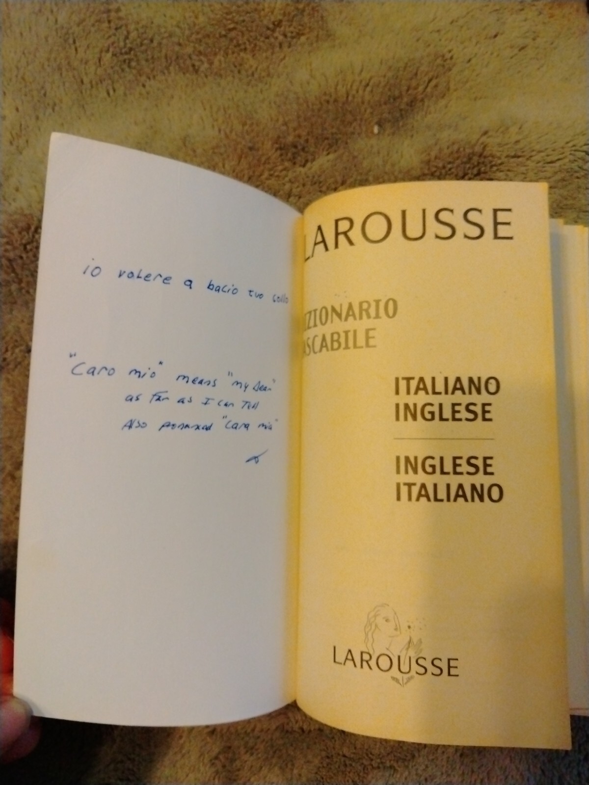Larousse Pocket Dictionary – Italian-English by Larousse Staff (1999, Trade…
