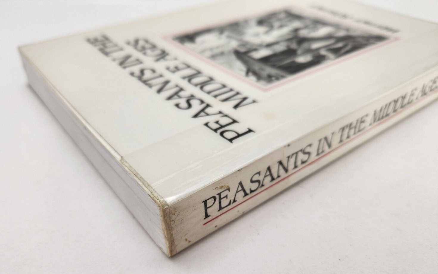 Peasants in Middle Ages by Rosener, Werner 1992 Paperback Ex-Library