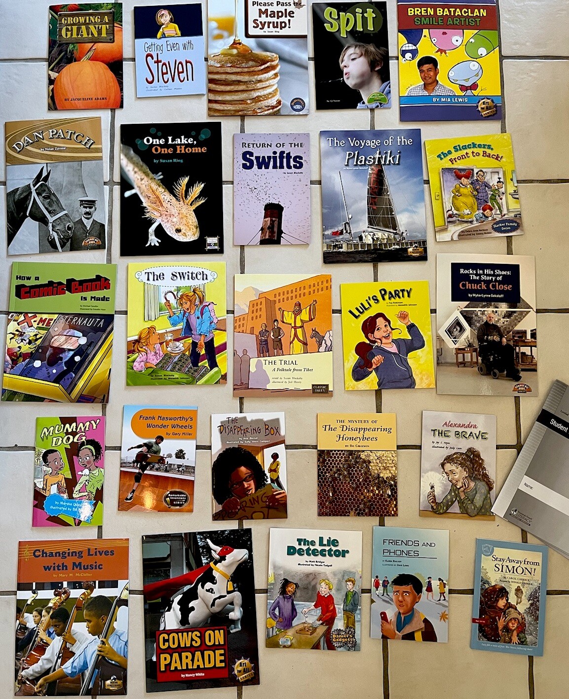 Fountas & Pinnell LLI Red System Grade 3 Lessons 129-160 Level P, 25 Books NEW