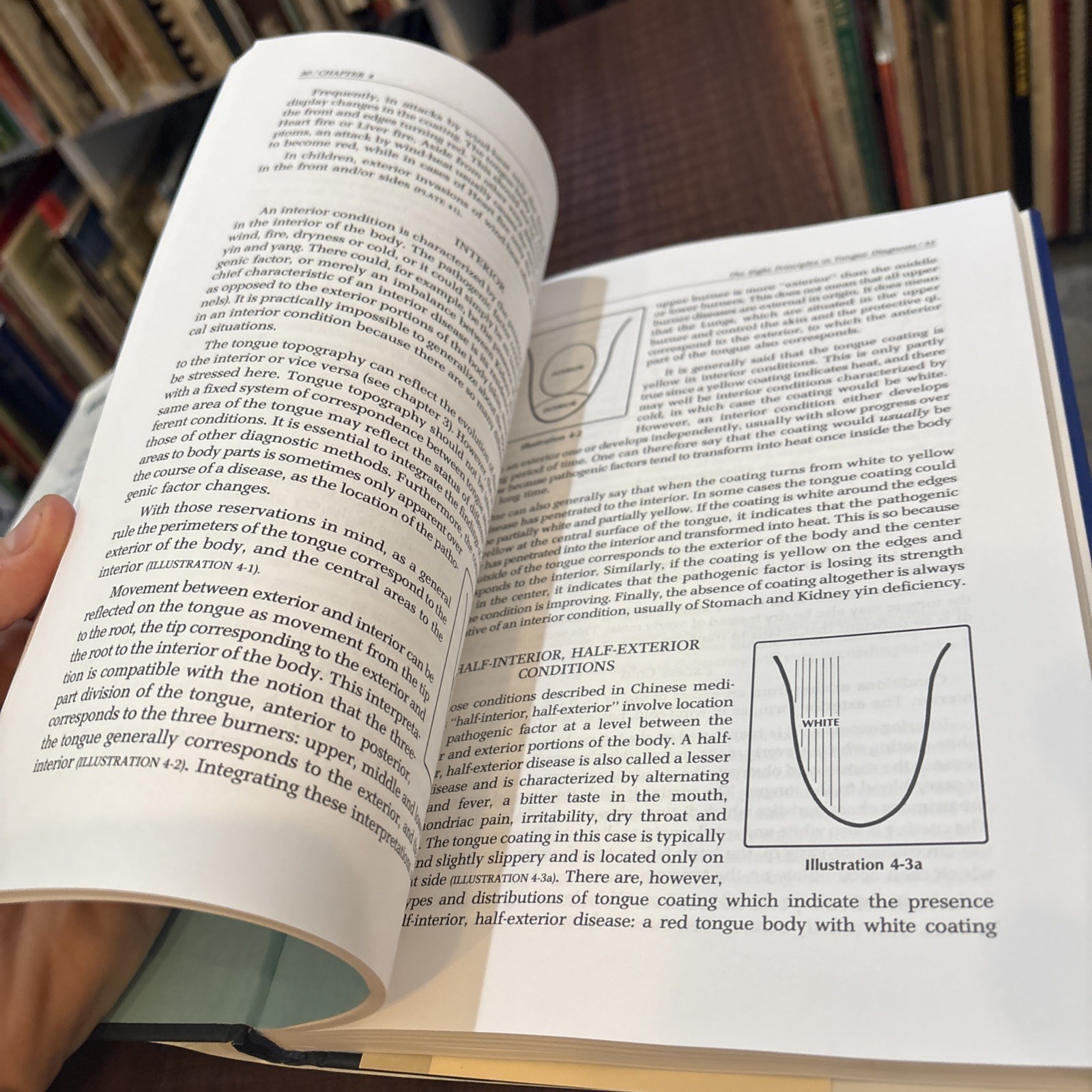 Tongue Diagnosis in Chinese Medicine by Giovanni Maciocia Revised Edition B29