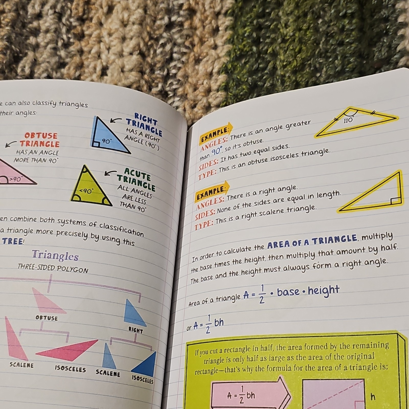 Workman Publishing Everything You Need to Ace Math Study Guide Middle School