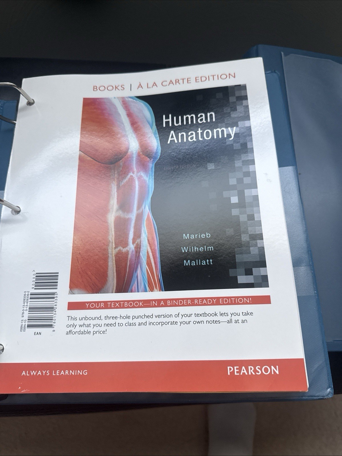 Human Anatomy (8th Edition) by Marieb, Elaine N.