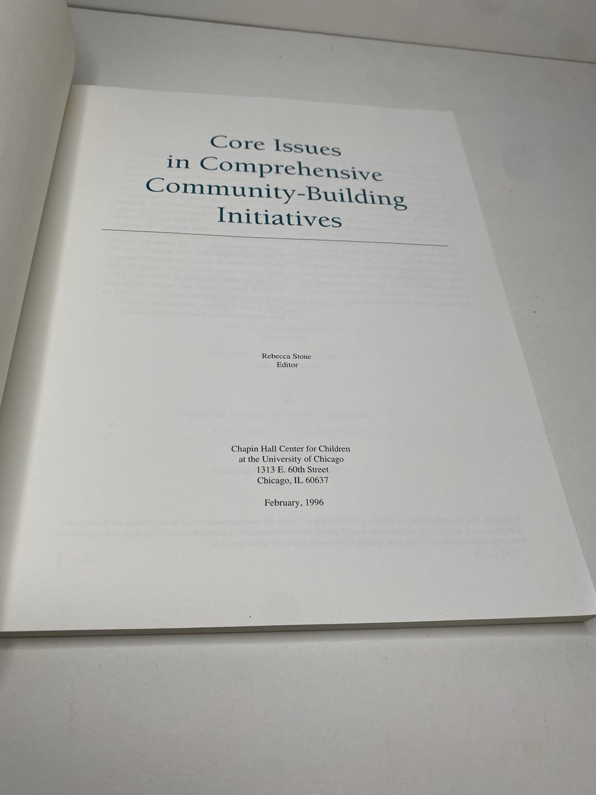 Core Issues in Comprehensive Community-Building Initiatives Chapin Hall Book