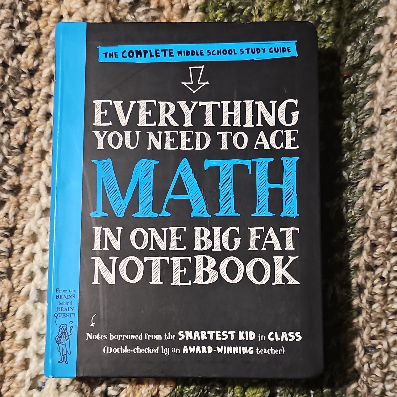 Workman Publishing Everything You Need to Ace Math Study Guide Middle School