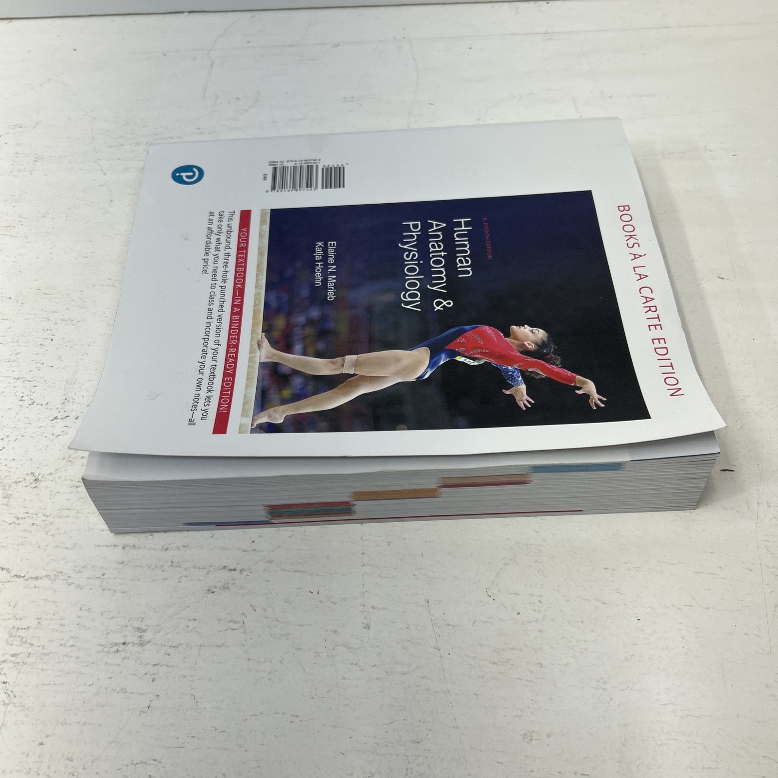 Human Anatomy & Physiology – Loose Leaf, by Marieb Elaine; Hoehn – Acceptable k