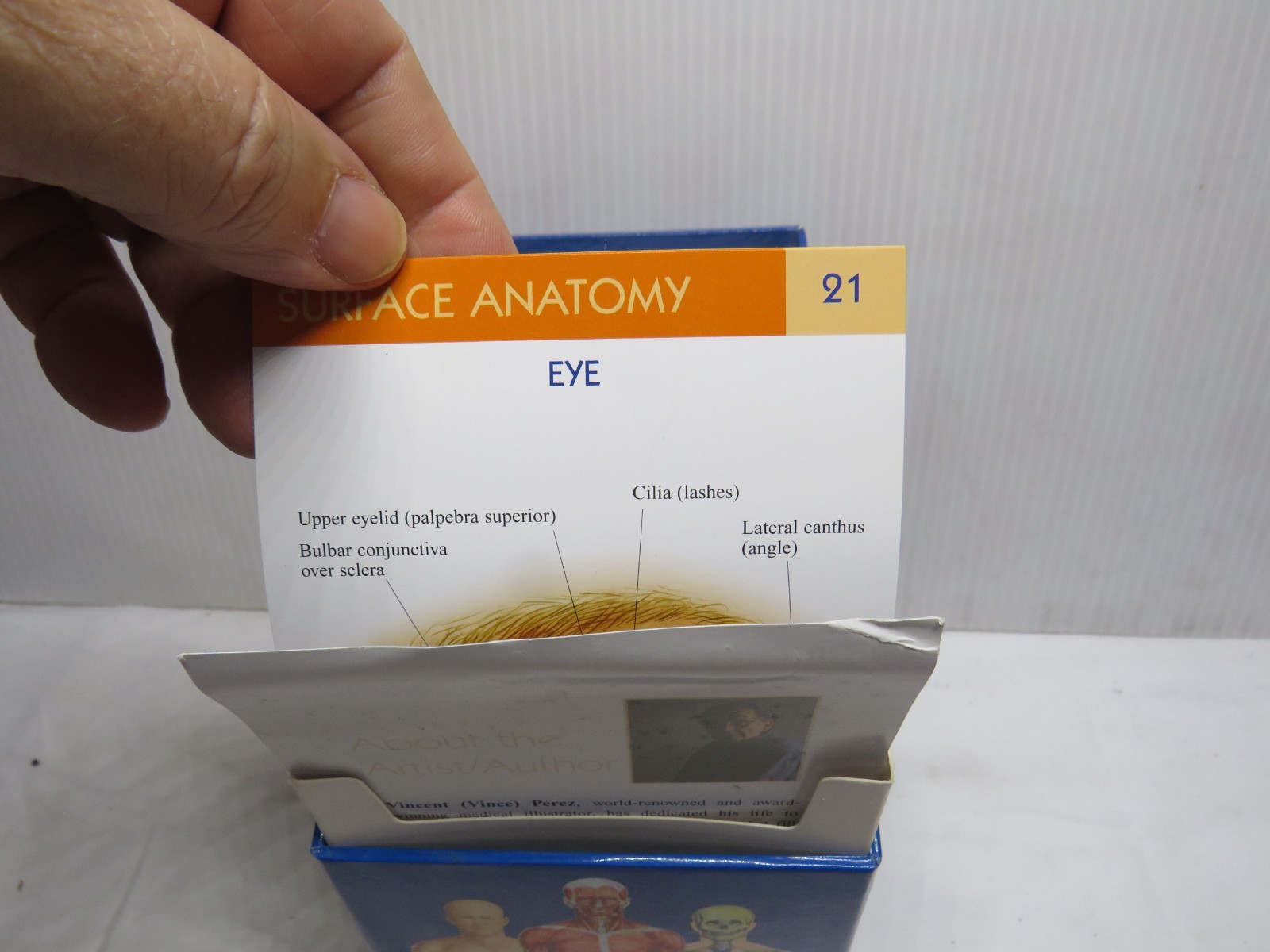 Anatomy Quickstudy 300 Flash Cards – 14 systems Cards By BarCharts, Inc. – GOOD