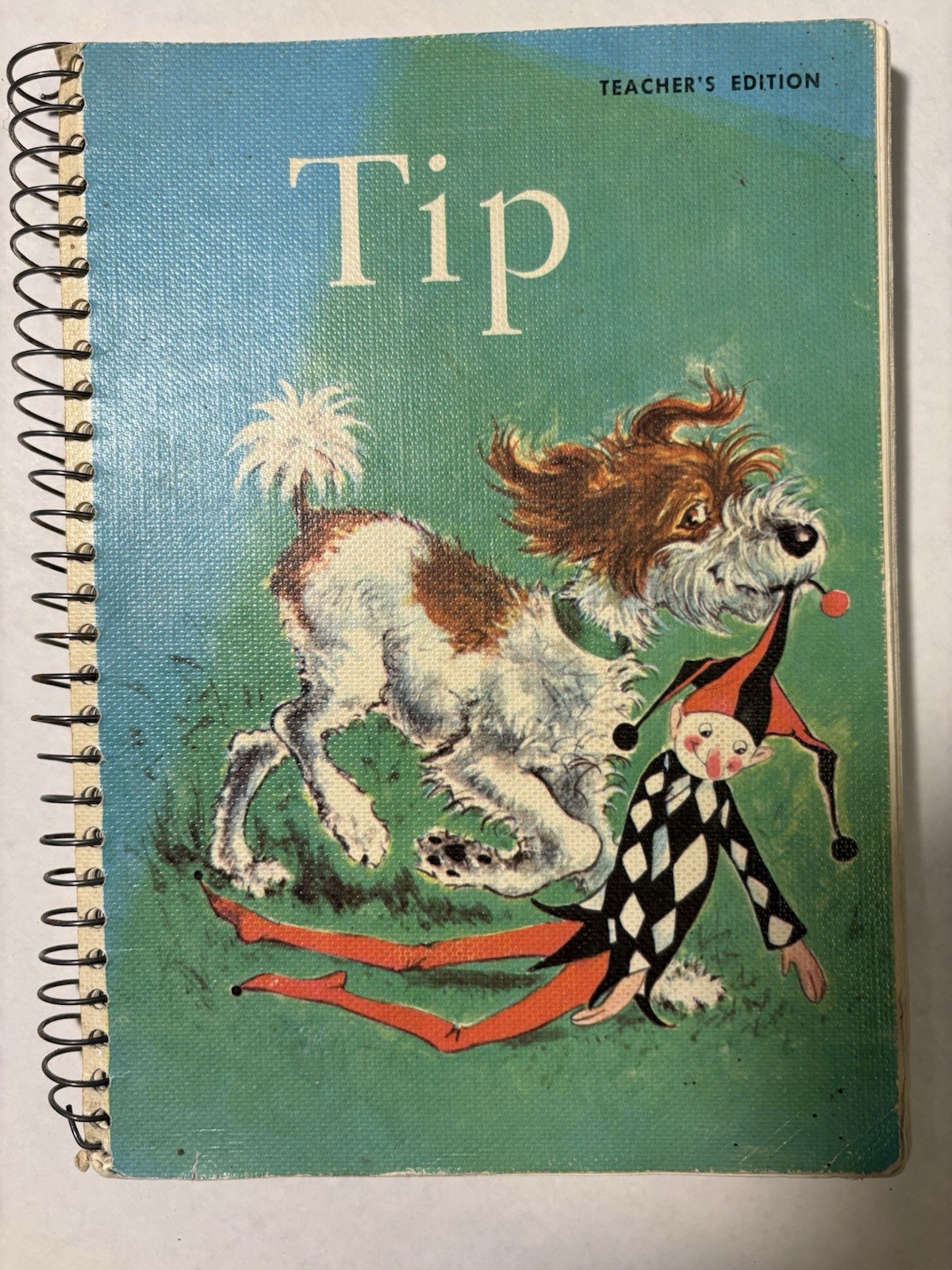 Houghton Mifflin TIP 4th Edition Teacher’s Guide TE Reading Elem Beginner 1966