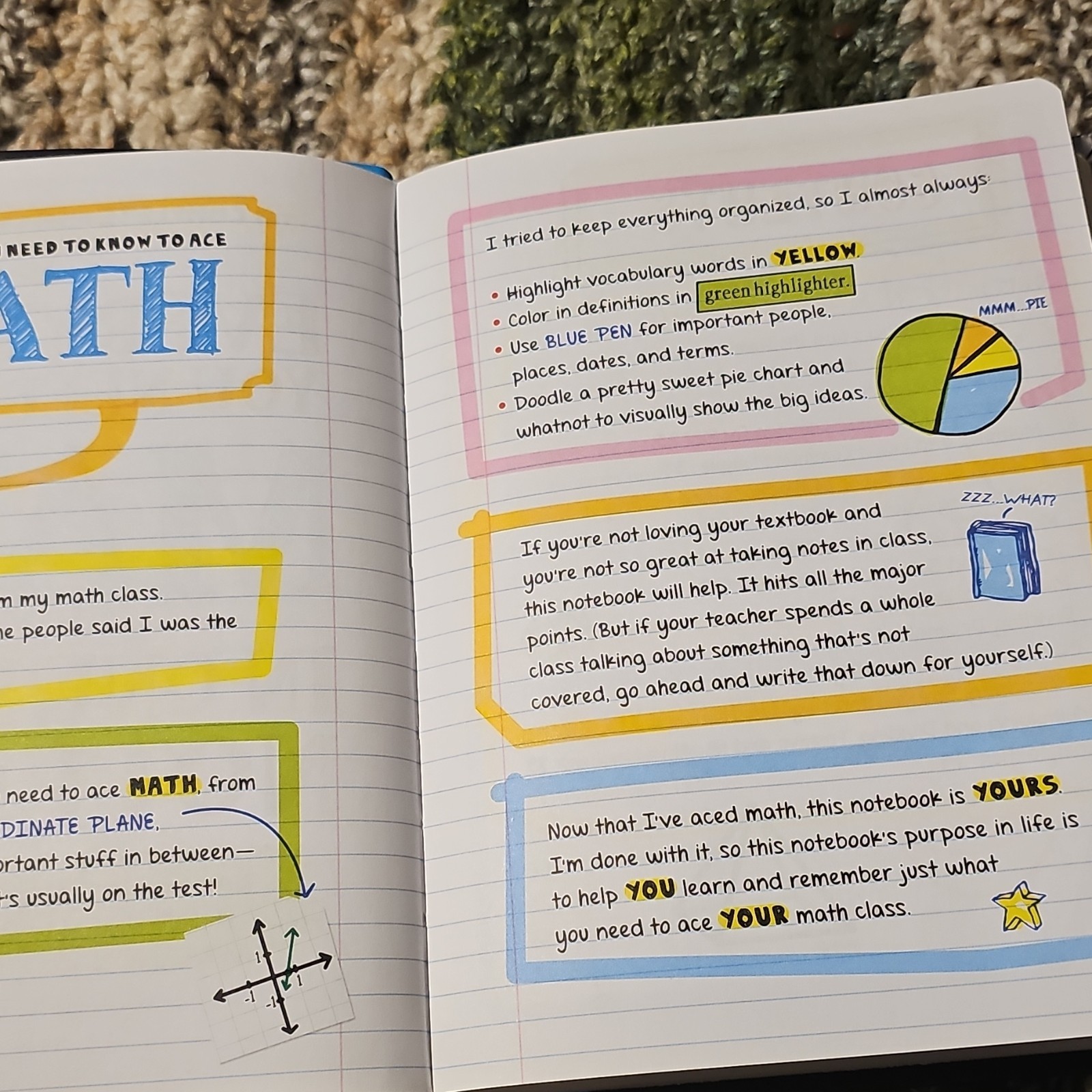 Workman Publishing Everything You Need to Ace Math Study Guide Middle School