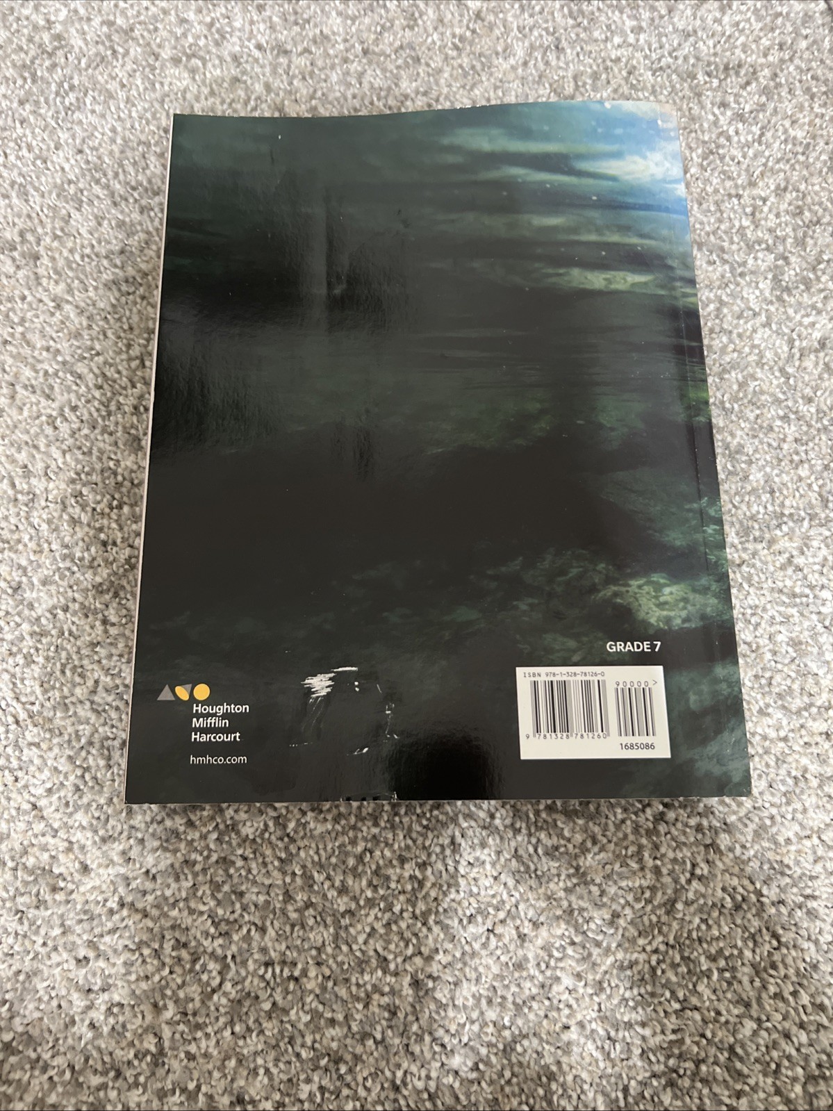 Hmh Florida Science Ser.: Hmh Florida Science : Student Edition Grade 7 2019 by