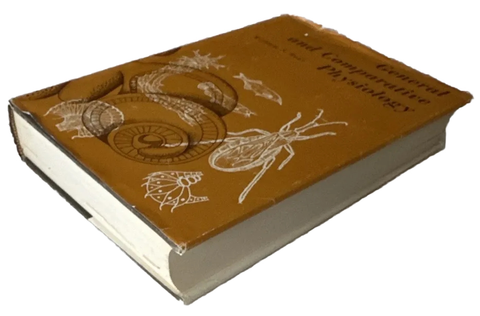 Rare! General and Comparative Physiology by William S. Hoar 1966 HC “Very Good”
