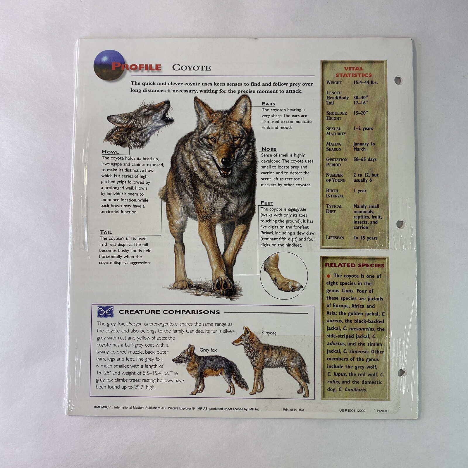 Wildlife Explorer Study Guides – Sealed Pack #00 – 6 Pages – New
