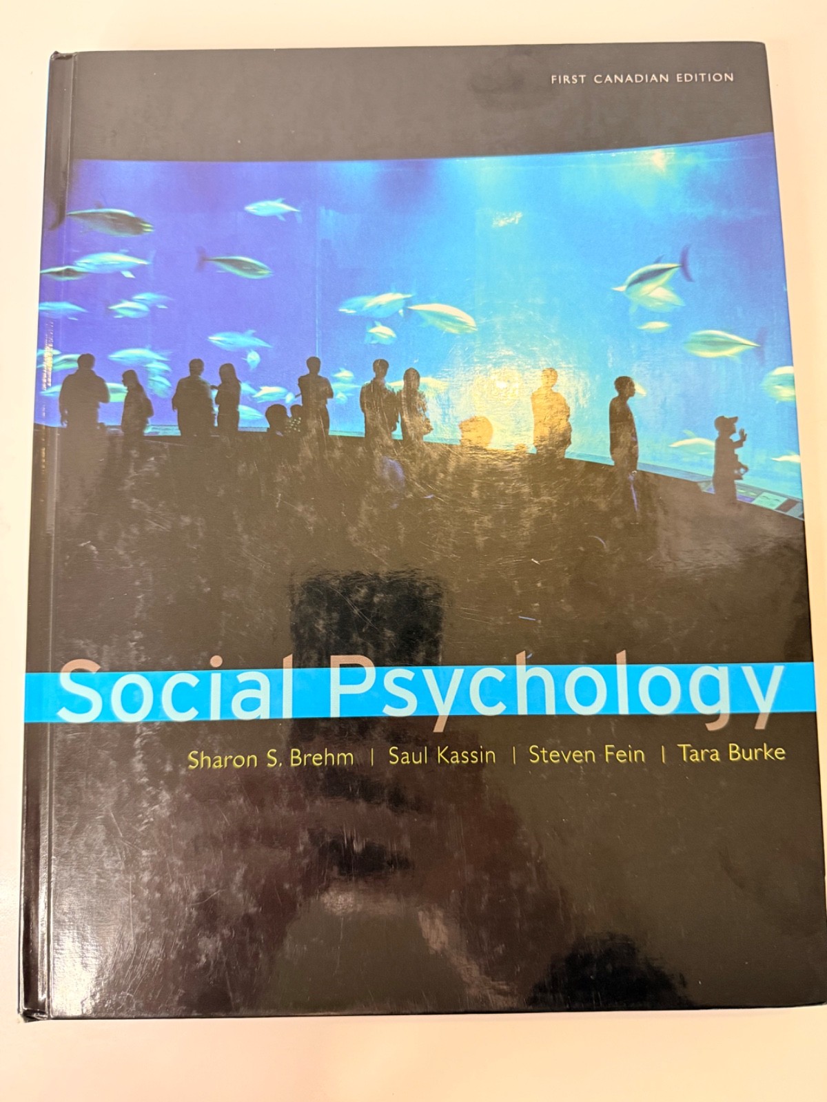 Social Psychology Hardcover Textbook, First Canadian Edition (2008) Brehm